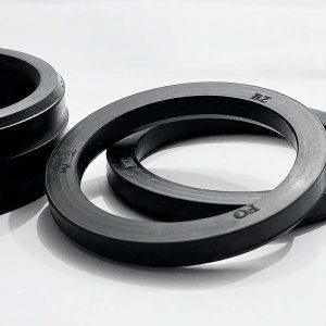 واشر صنعتی اسپرسوساز بیزرا ( Bezzera )