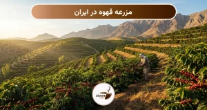 مزرعه قهوه در ایران