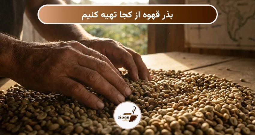 بذر قهوه از کجا تهیه کنیم