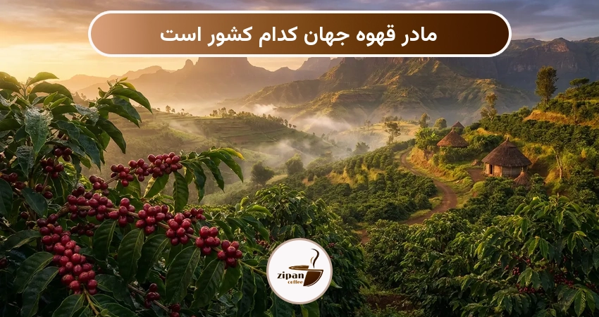 مادر قهوه جهان کدام کشور است